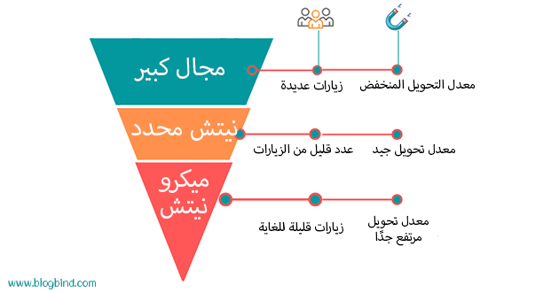 ما هو أفضل نيتش للربح من جوجل أدسنس 2025 2 الميكرو نيتش والمجالات المتفرعة.
