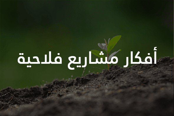 مشاريع فلاحية: أزيد من 20 فكرة مشروع فلاحي لسنة 2026 2 أفكار مشاريع فلاحية.